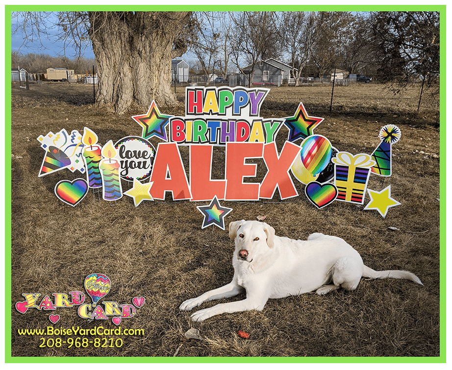 Happy Birthday lawn sign yard sign rainbow and orange Happy Birthday lawn sign yard sign colorful